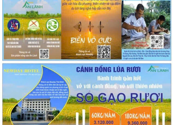 Tour Du Lịch Biển Vô Cực Hè 2026 – Trải Nghiệm Vẻ Đẹp Huyền Ảo Của Biển Trời Thái Bình