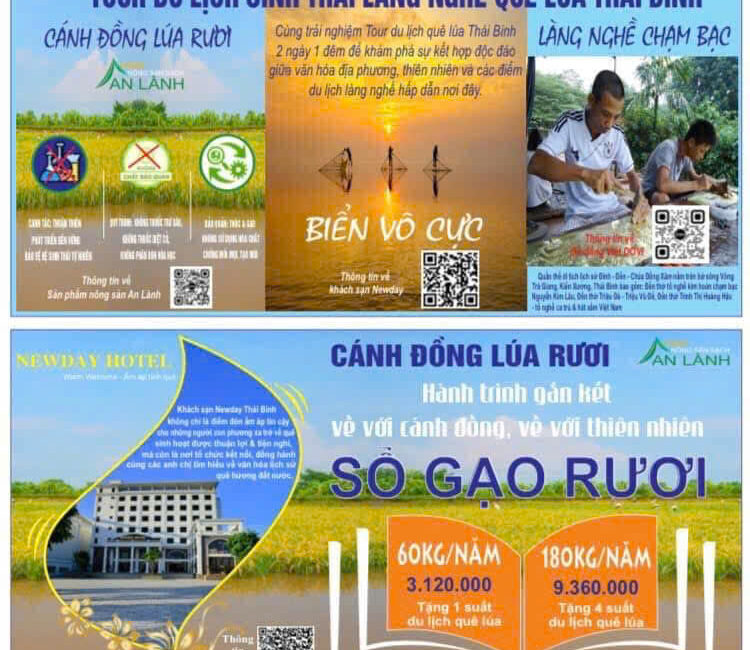 Tour Du Lịch Biển Vô Cực Hè 2026 – Trải Nghiệm Vẻ Đẹp Huyền Ảo Của Biển Trời Thái Bình